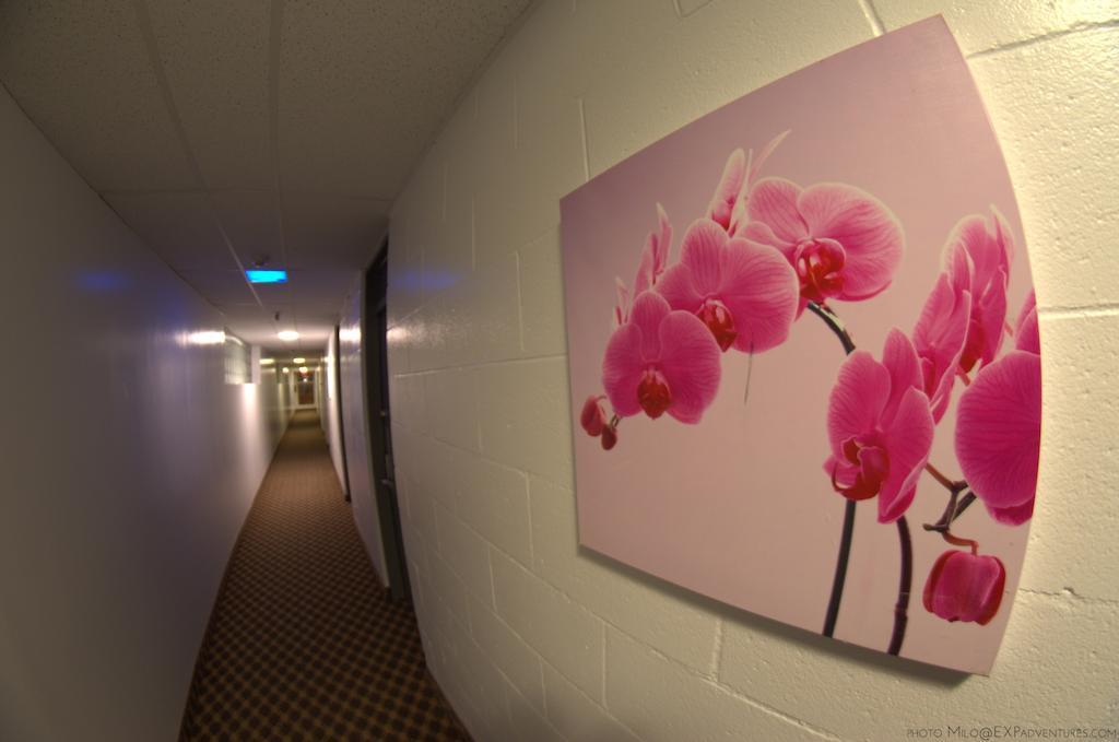 ホテル ロイヤルプラザ ウィニペグ エクステリア 写真